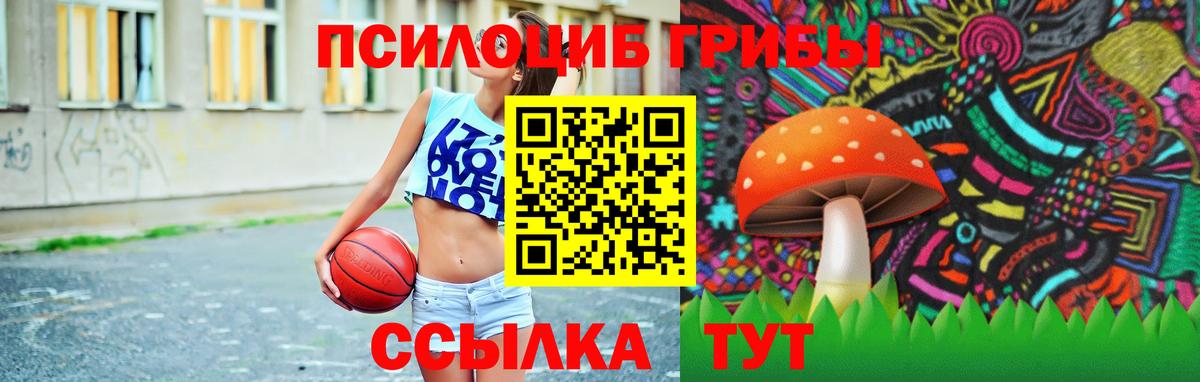 Псилоцибиновые грибы Psilocybine cubensis  Вход с VPN  наркошоп  Когалым  Псилоцибиновые грибы Cubensis 